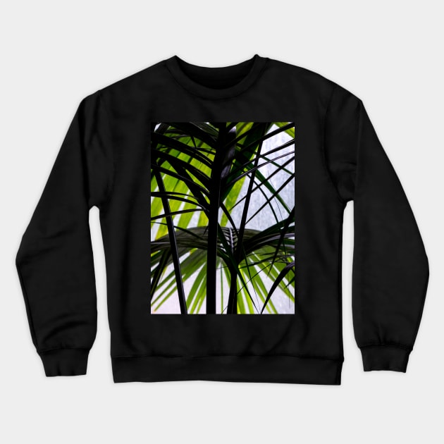 Black and Green Palm Leaves Crewneck Sweatshirt by PictureNZ